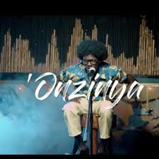 Onzinya